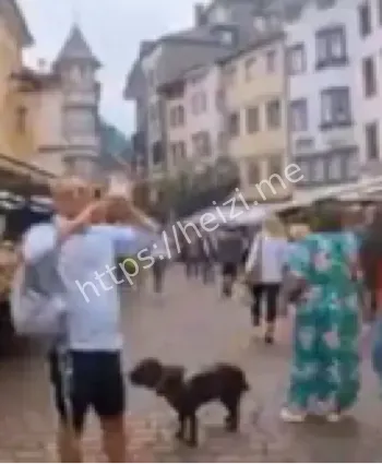 意大利博尔扎诺狗征税